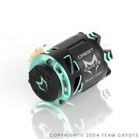 CREST 1/10 Stocki Motor 13.5T CAYOTE