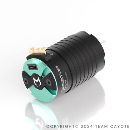 CAYOTE 1/8 CREST 4268 Motore Brushless per 1/8